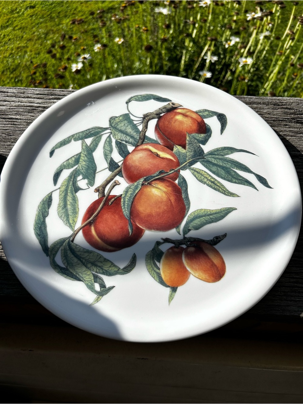 Lubiana Poland White Ceramic Peach ServingPlate with Botanical Print